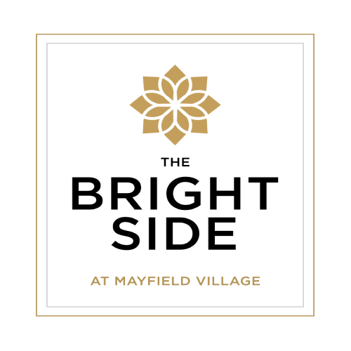  The Bright Side logo 