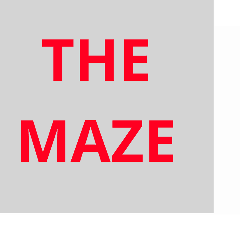  THE MAZE 1 & 2 CONDOS logo 