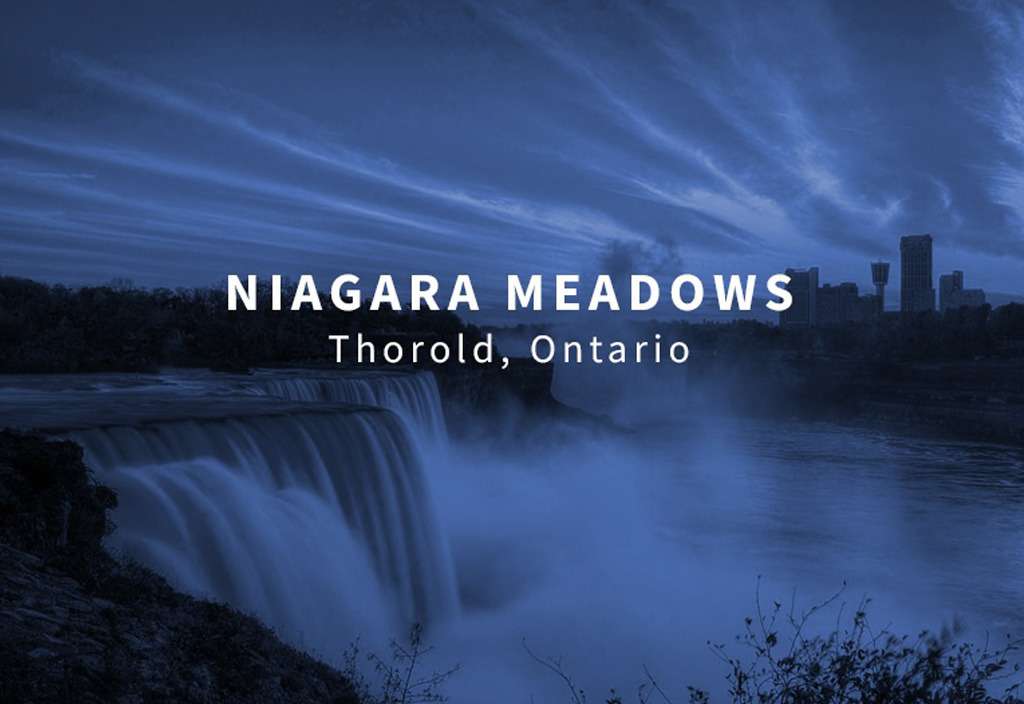  Niagara Meadows Towns logo 